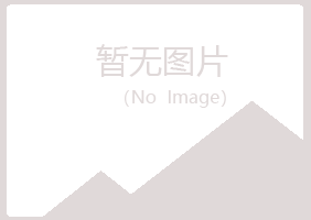 陆川县若烟律师有限公司